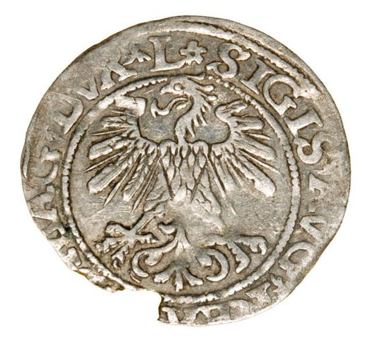 Półgrosz 1560 Zygmunt II August Litwa Wilno